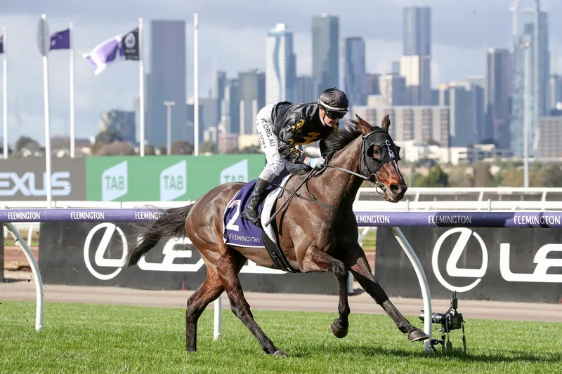FREE: Flemington Tip Sheet & Staking Plan: Saturday 18th May Image