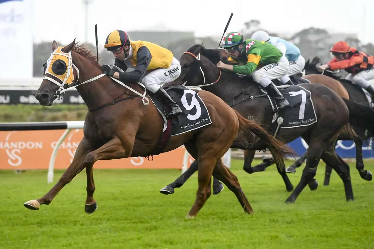 Horses You Must Follow From Randwick 19th September Image