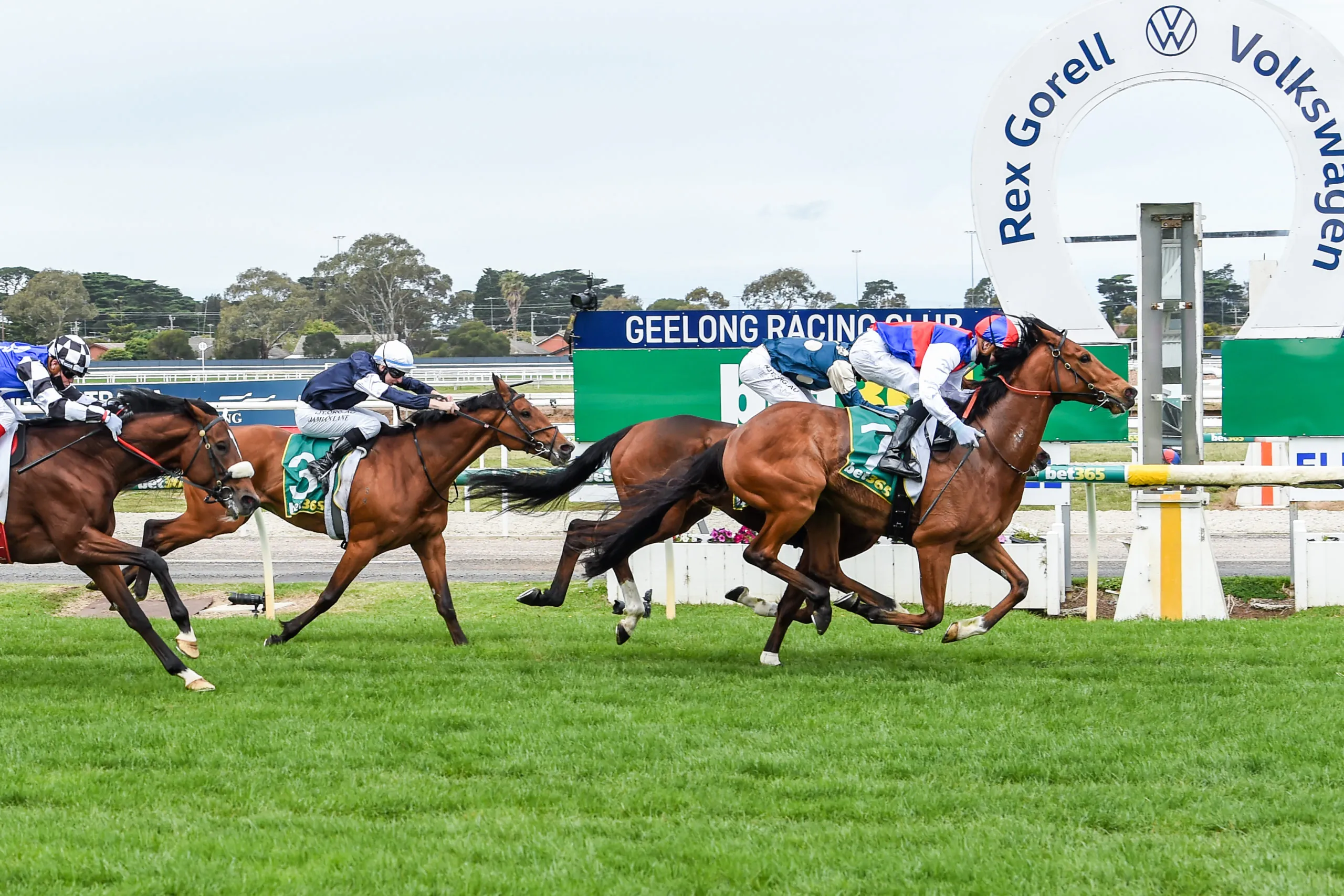 Geelong Tip Sheet & Staking Plan : Wednesday 1st December Image