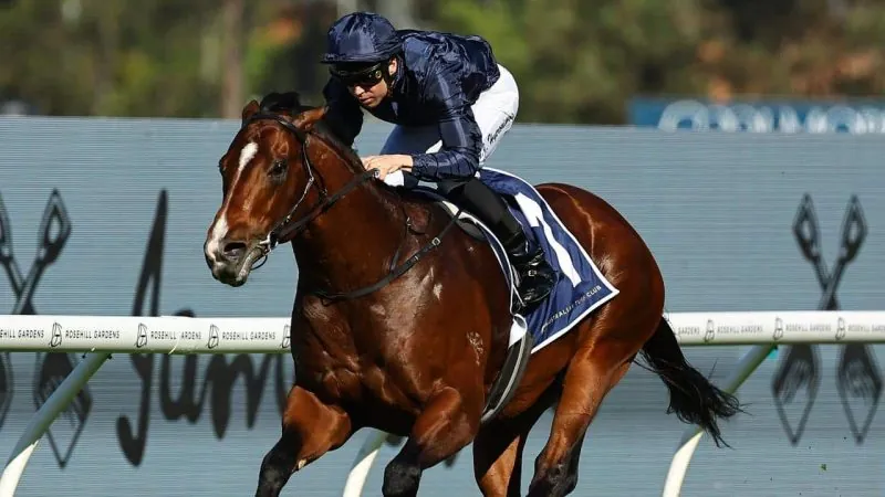 2024 San Domenico Review: What The Jockeys Said Image