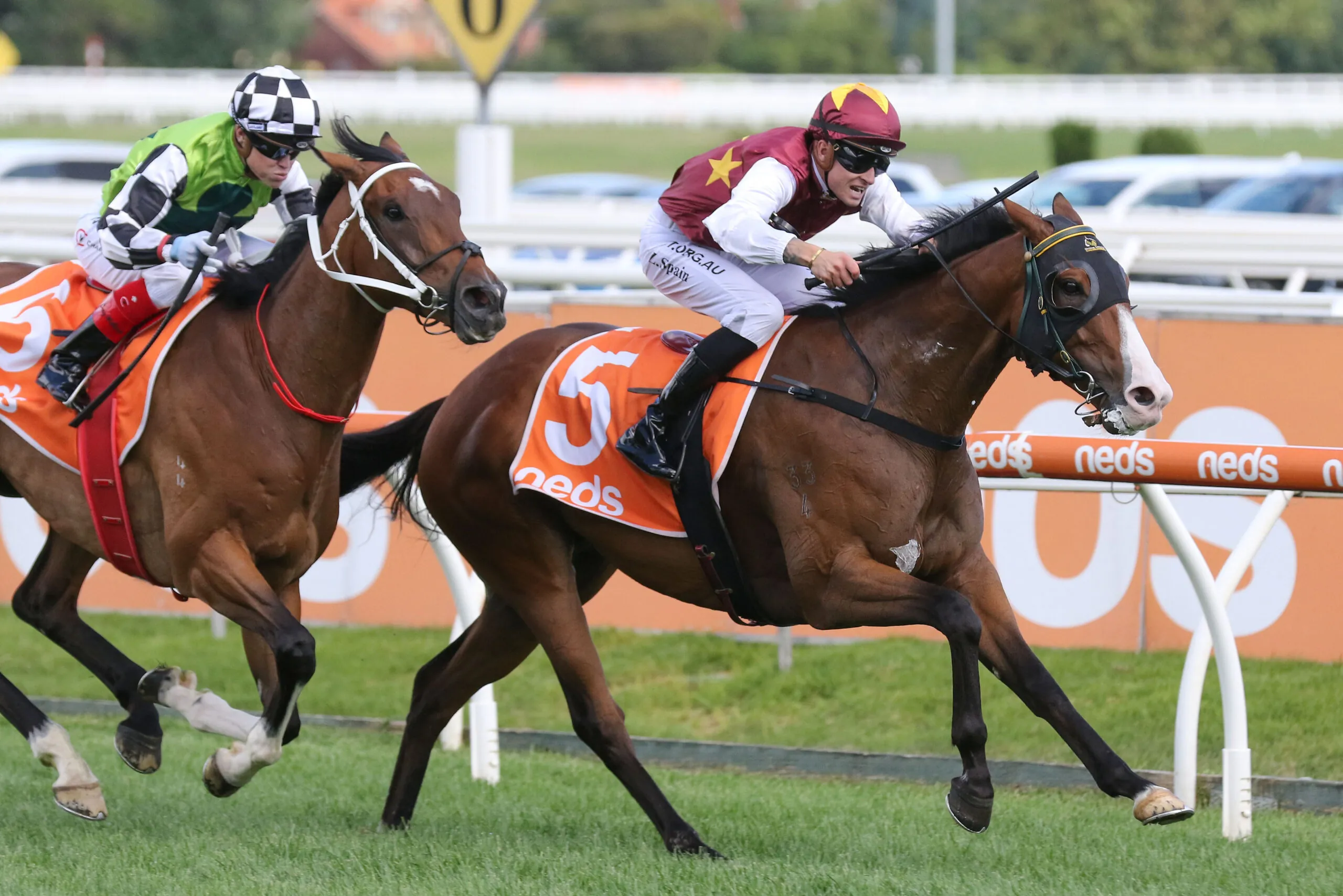 Caulfield Tip Sheet & Staking Plan : Saturday 28th August Image