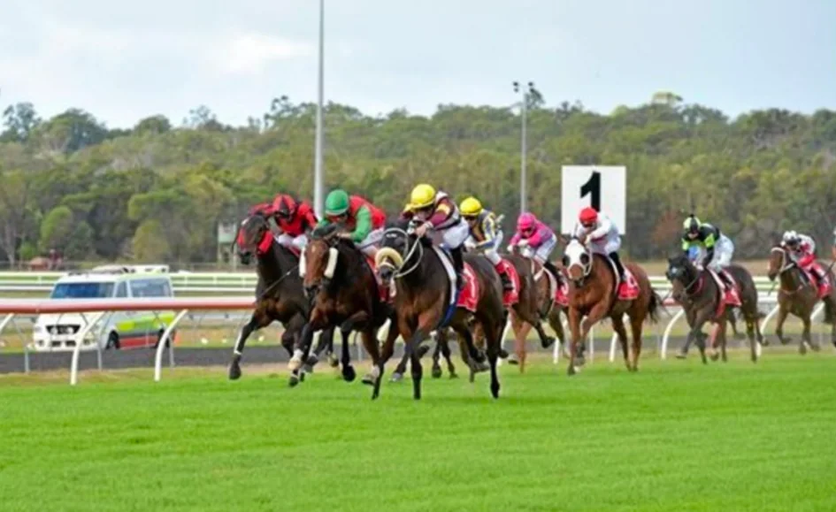 The Edge QLD: Saturday 13/11 Image