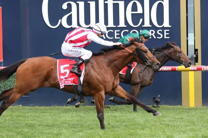 FREE: Caulfield Tip Sheet & Staking Plan: Saturday 17th August Image