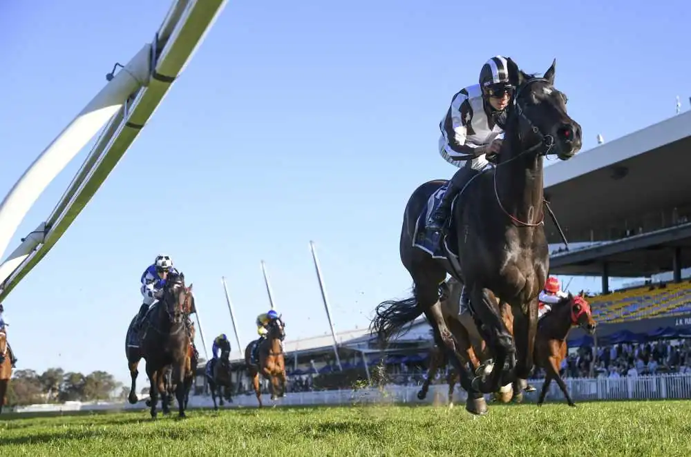 FREE: Rosehill Tip Sheet & Staking Plan: Saturday 9th September Image