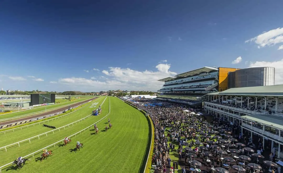 Randwick Best Selection & Value Play 21/9 Image
