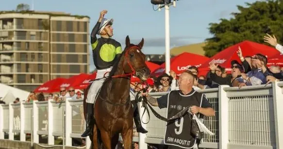 Racing Review: Don’t Think About It He’s A Star Image