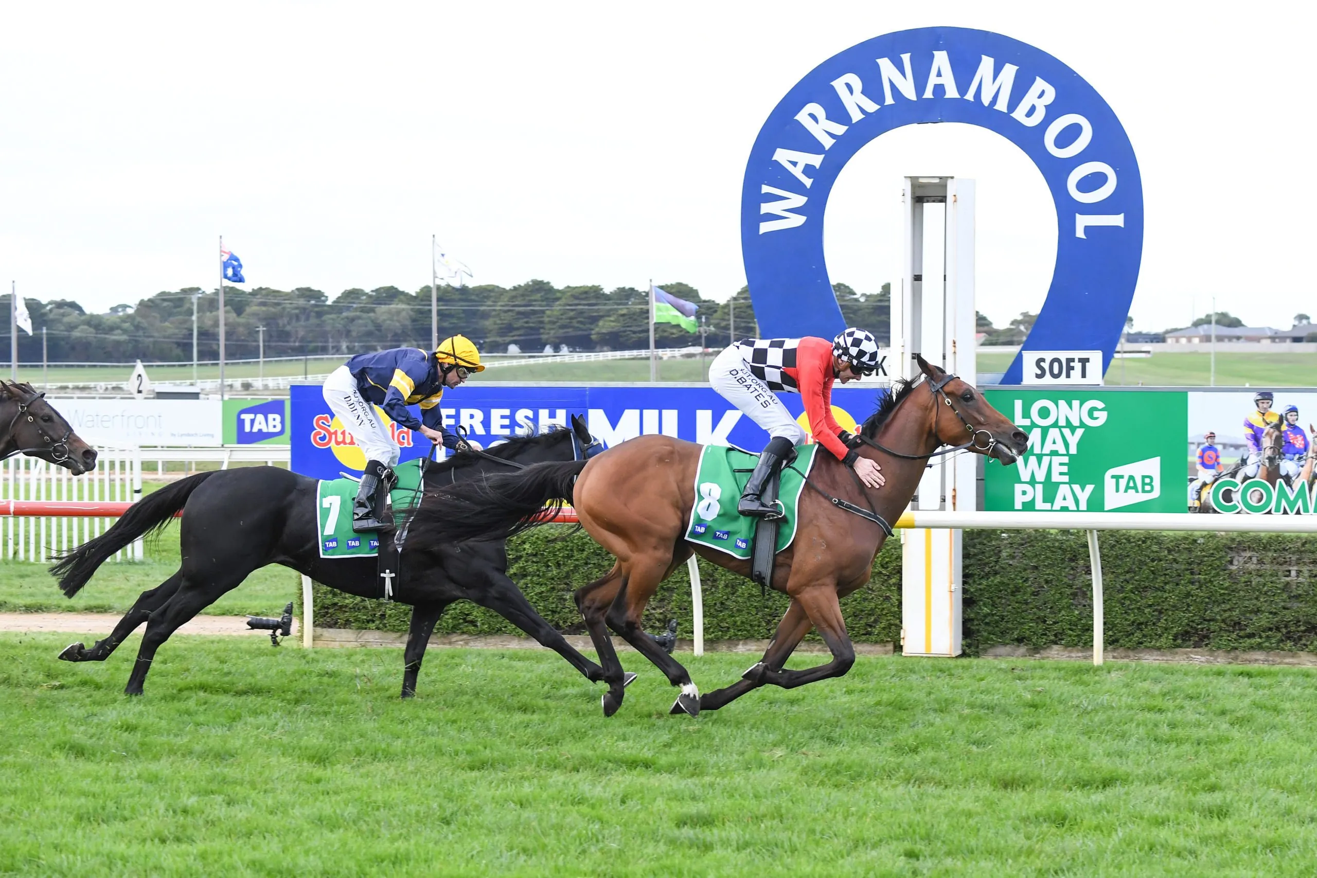 Warrnambool Tip Sheet & Staking Plan: Wednesday 5th May Image