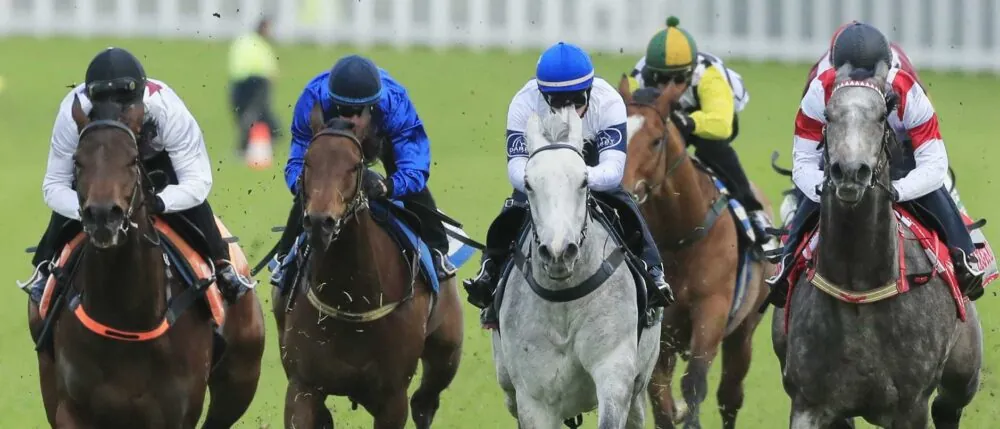The Plunge’s Trial Review: Horses Must Follow From The Trials 4/12 Image
