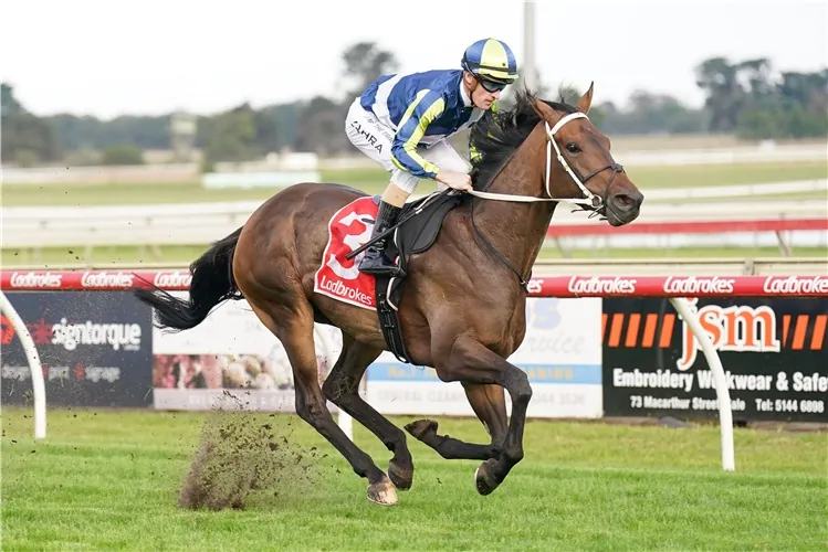 Cranbourne Review: Uncle Bryn Headed For The Top Image