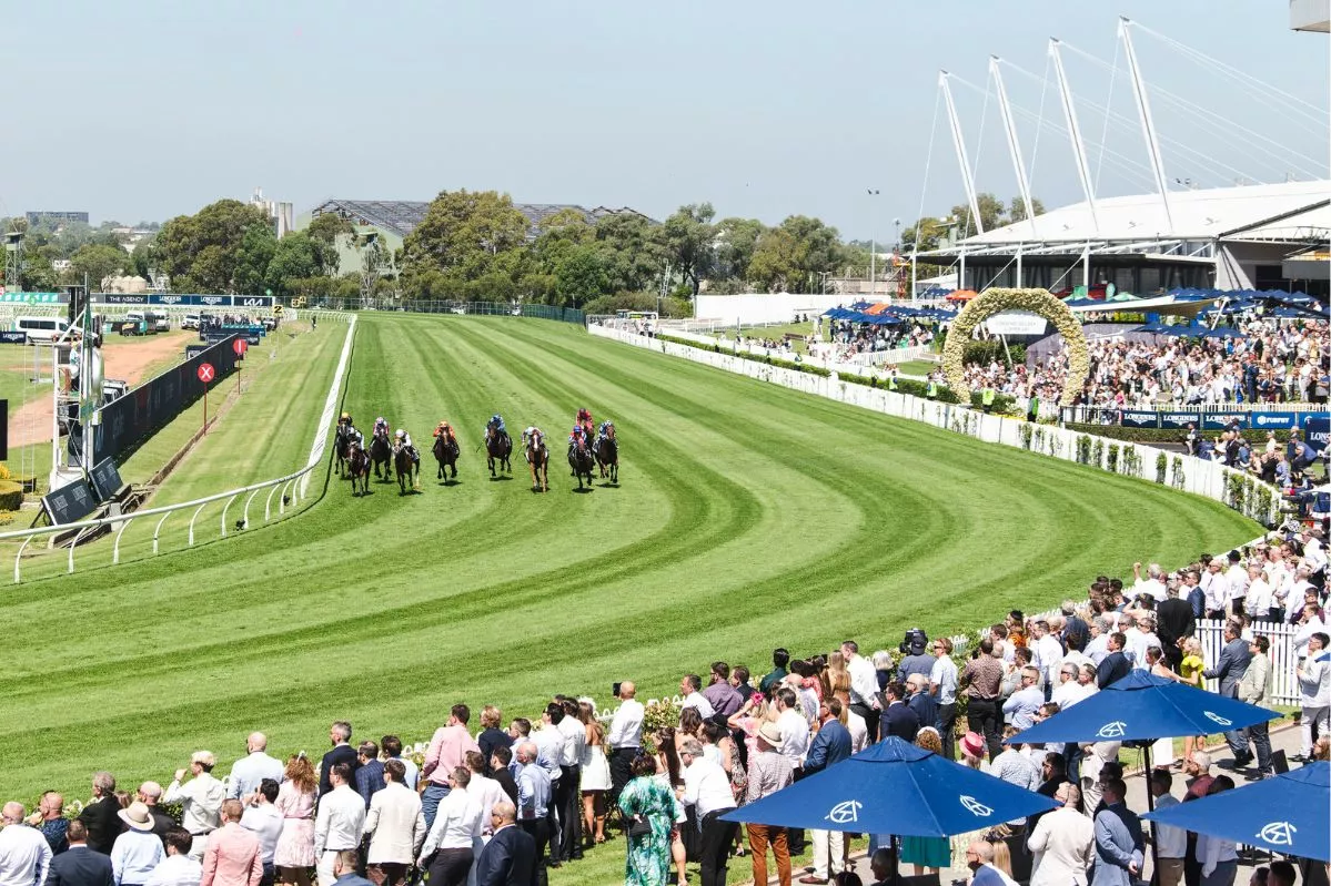 FREE: Rosehill Tip Sheet & Staking Plan: Saturday 3rd August Image