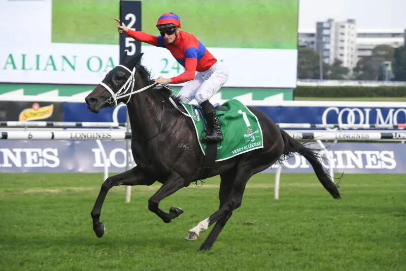 Essential Punters Package: Our Selections For Saturday 10/7 Image