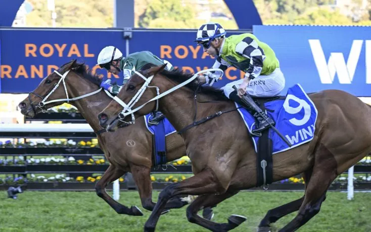 FREE: Randwick Tip Sheet & Staking Plan: Saturday 15th February Image