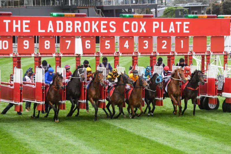 Our Black Book: Horses You Must Follow From Moonee Valley 23/3 Image