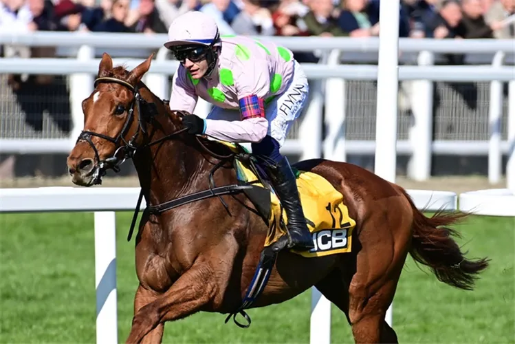 MULLINS OUT TO SETTLE UNFINISHED MELBOURNE CUP BUSINESS Image