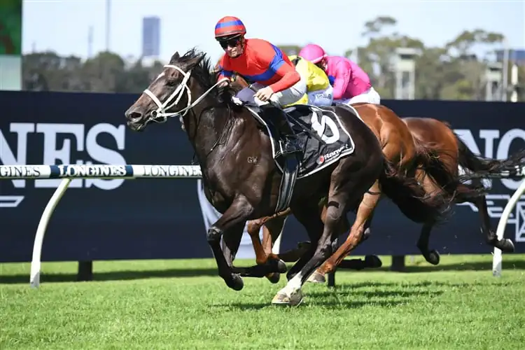 Randwick Tip Sheet & Staking Plan: Saturday 10th April Image