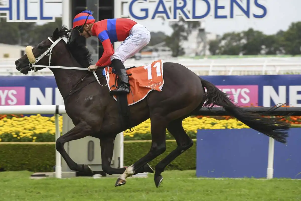 Rosehill Tip Sheet & Staking Plan: Saturday 27th March Image