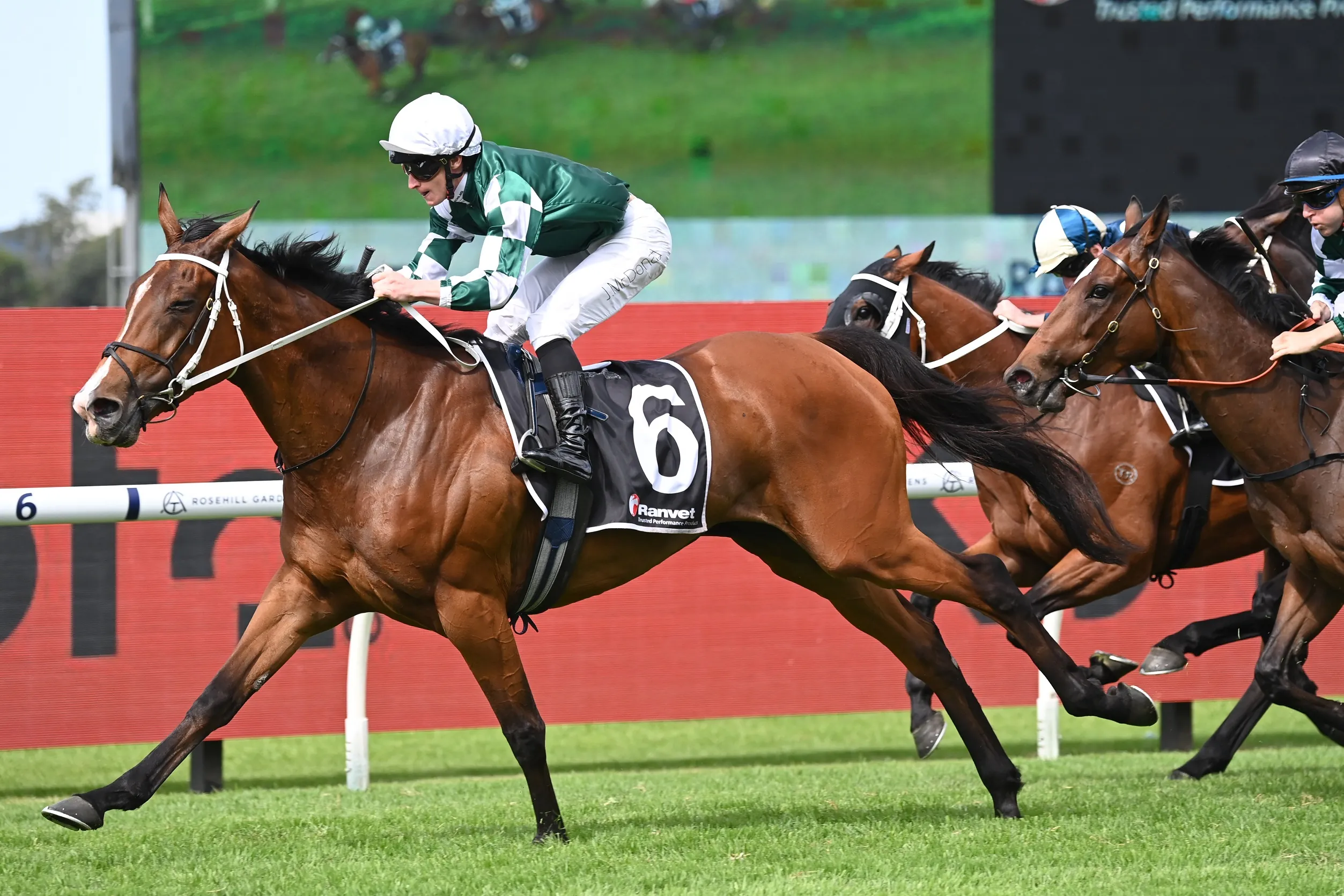 FREE: Randwick Selections: Saturday 24th August Image