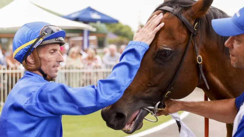 2022 The Hunter Review: What The Jockeys Said Image