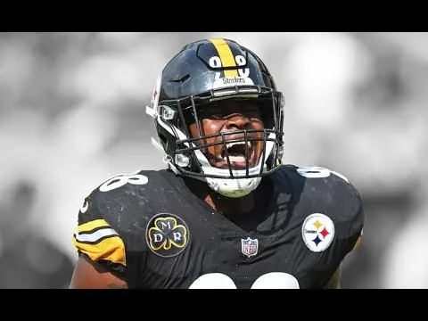 Steelers linebacker Vince Williams retires at age 31 Image