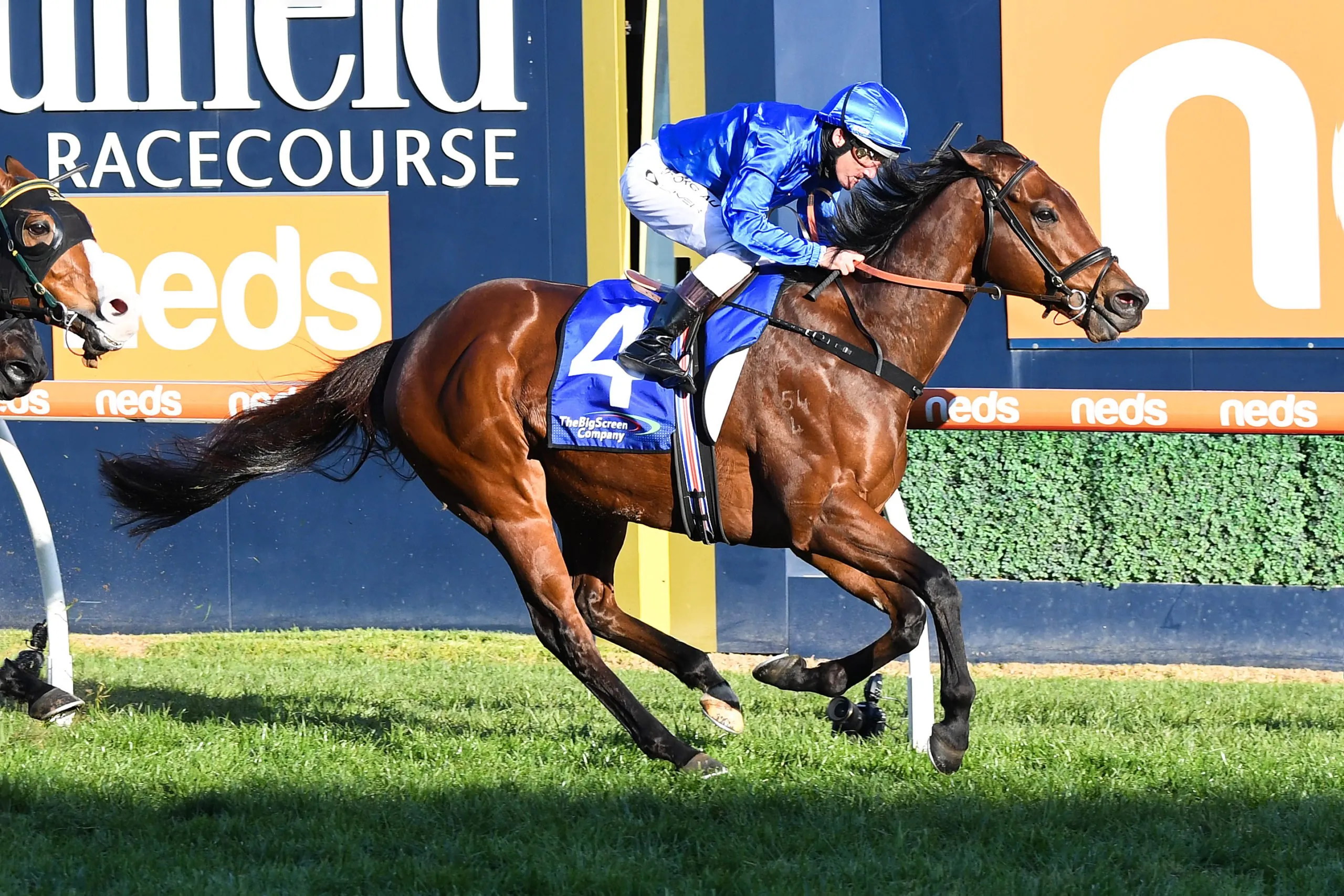 Viridine ready to fire in Group 2 Australia Stakes Image