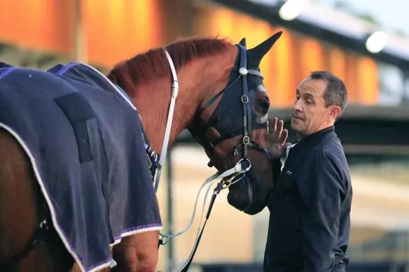 WALLER HAS THE CLASS DONCASTER HORSE Image