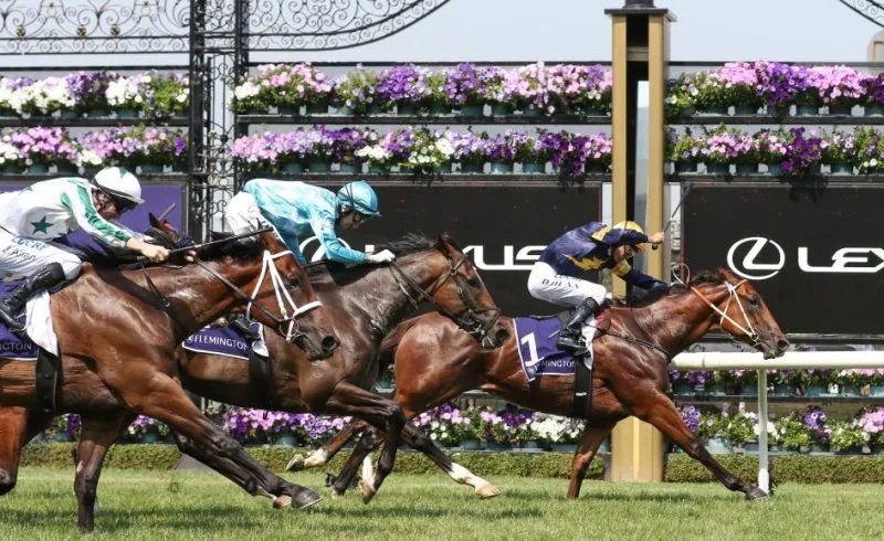 Whip Free Racing Shows Lack Of Respect For Punters Image