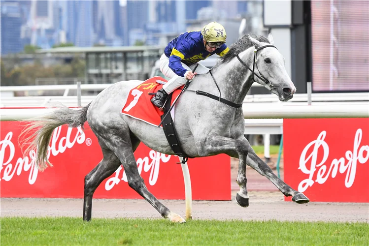 Sandown Review: White Marlin Lured By Golden Tickets Image