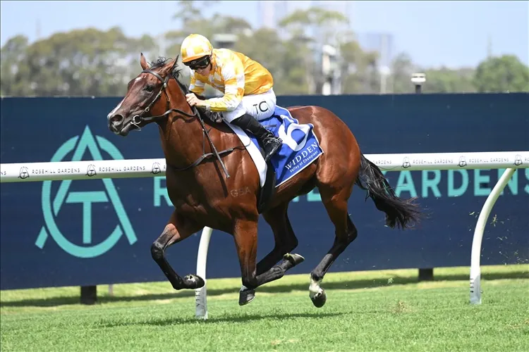 2024 Widden Stakes Review: What The Jockeys Said Image