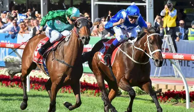 Cox Plate Race Day Tipping Competition – $1,000 To Be Won Image