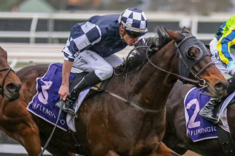 HAT-TRICK BID FOR YOUNG WERTHER IN SYDNEY Image