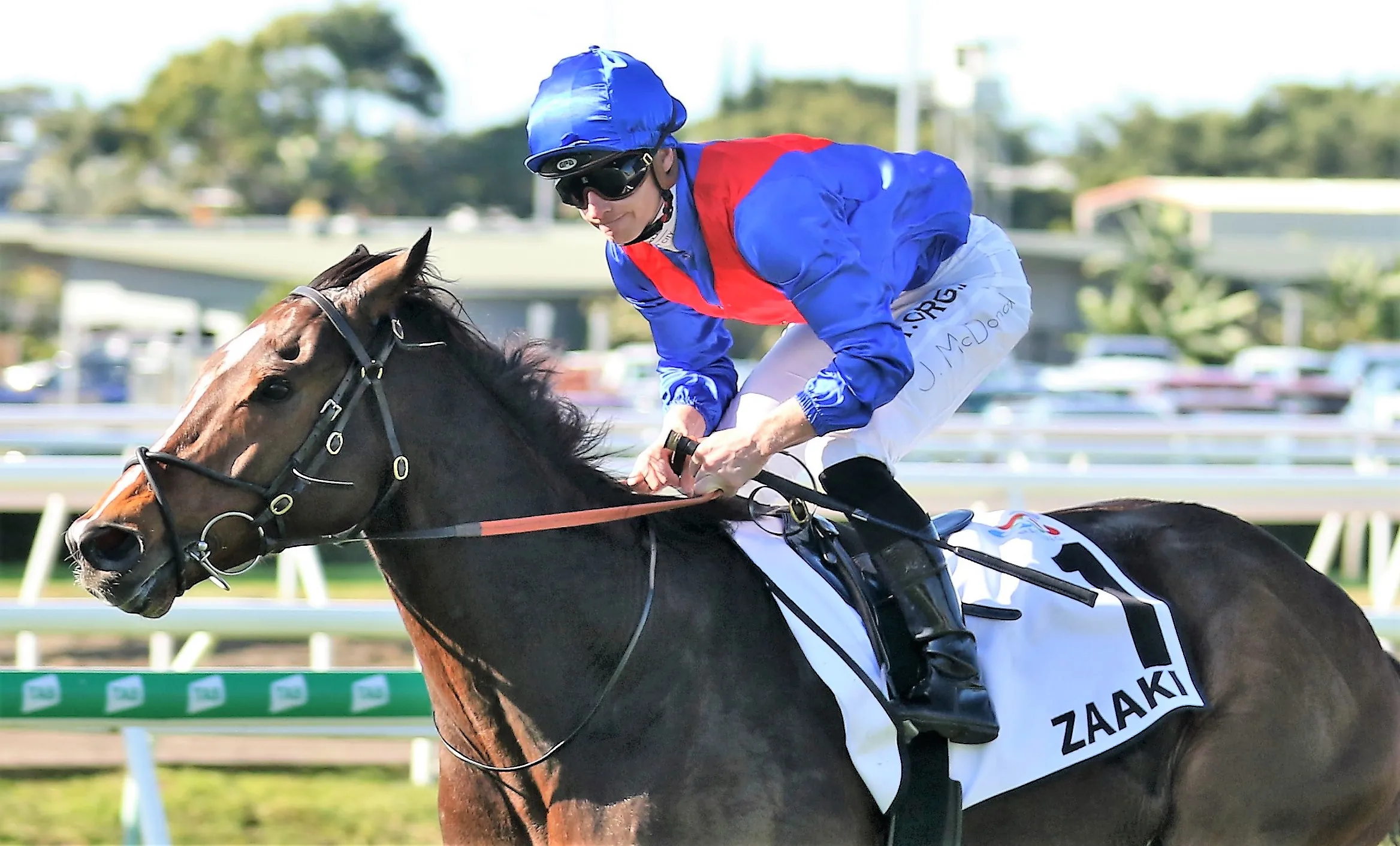 Randwick Tip Sheet & Staking Plan: Saturday 4th September Image
