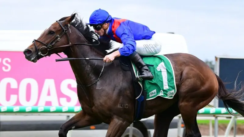 Randwick Preview: Zaaki Ready To Rumble Image