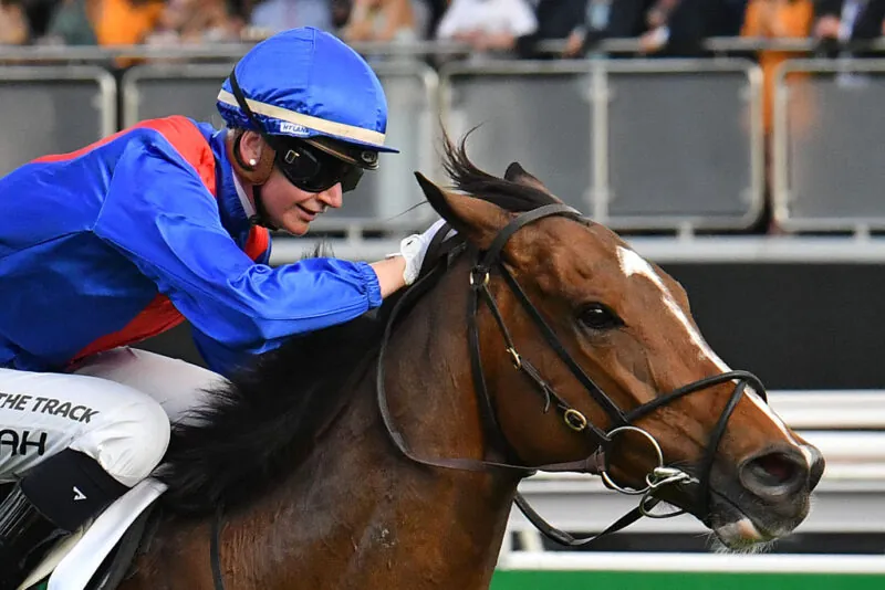 2022 Champions Stakes Review: What The Jockeys Said Image