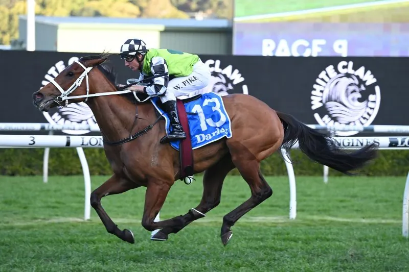 FREE: Rosehill Tip Sheet & Staking Plan: Saturday 16th March Image
