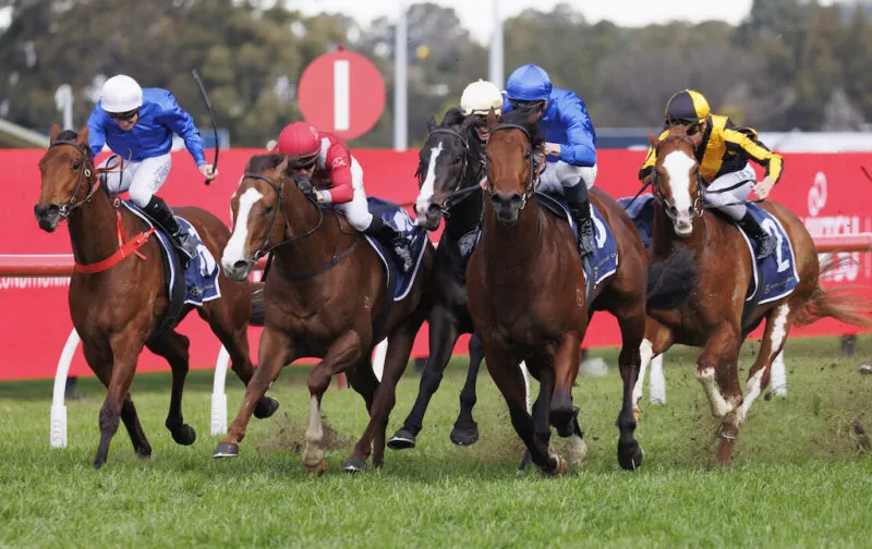 Hill Stakes Day Tipping Competition – $400 To Be Won Image