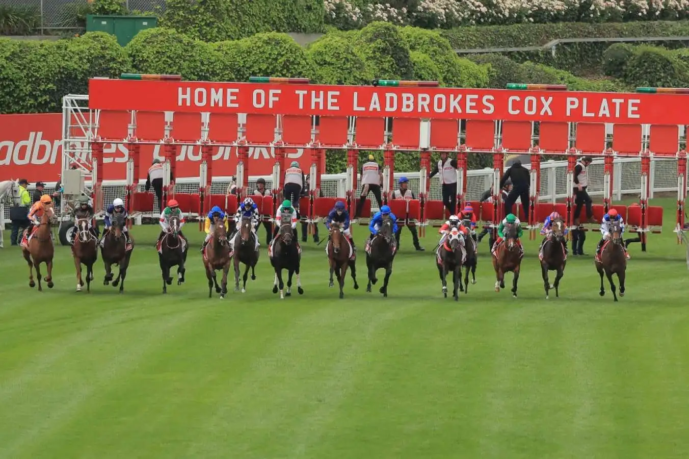Cox Plate contender ruled out  Image