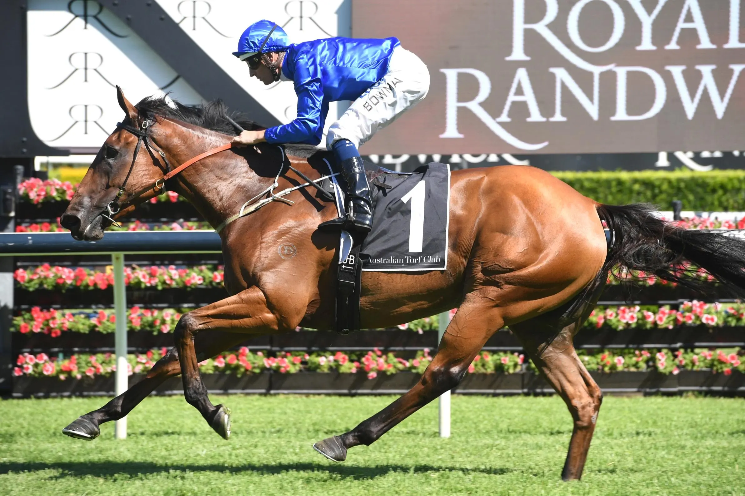 Randwick Tip Sheet & Staking Plan: Saturday 19th September Image