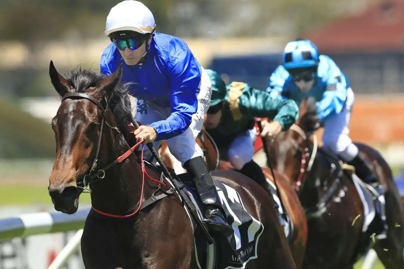 Our BlackBook & Trial Runners: Horses Running Today & Staking Plan 16/9 Image
