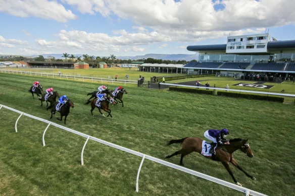 FREE: Kembla Grange Tip Sheet & Staking Plan: Saturday 23rd November Image