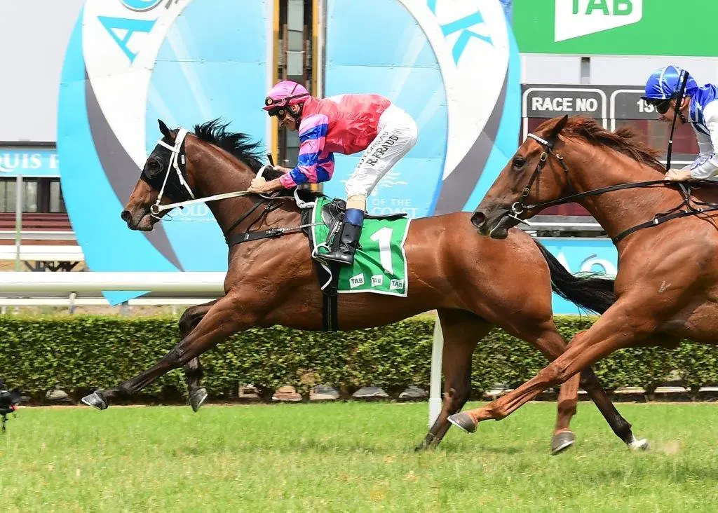 Our BlackBook & Trial Runners: Horses Running Today & Staking Plan 26/8 Image