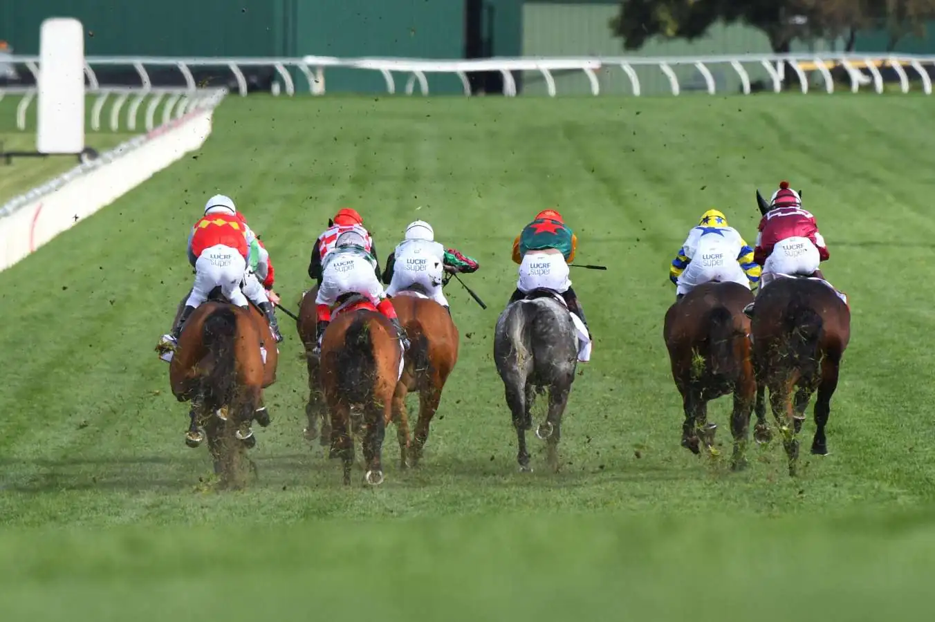 FREE: Sandown Hillside Tip Sheet & Staking Plan: Wednesday 20th July Image
