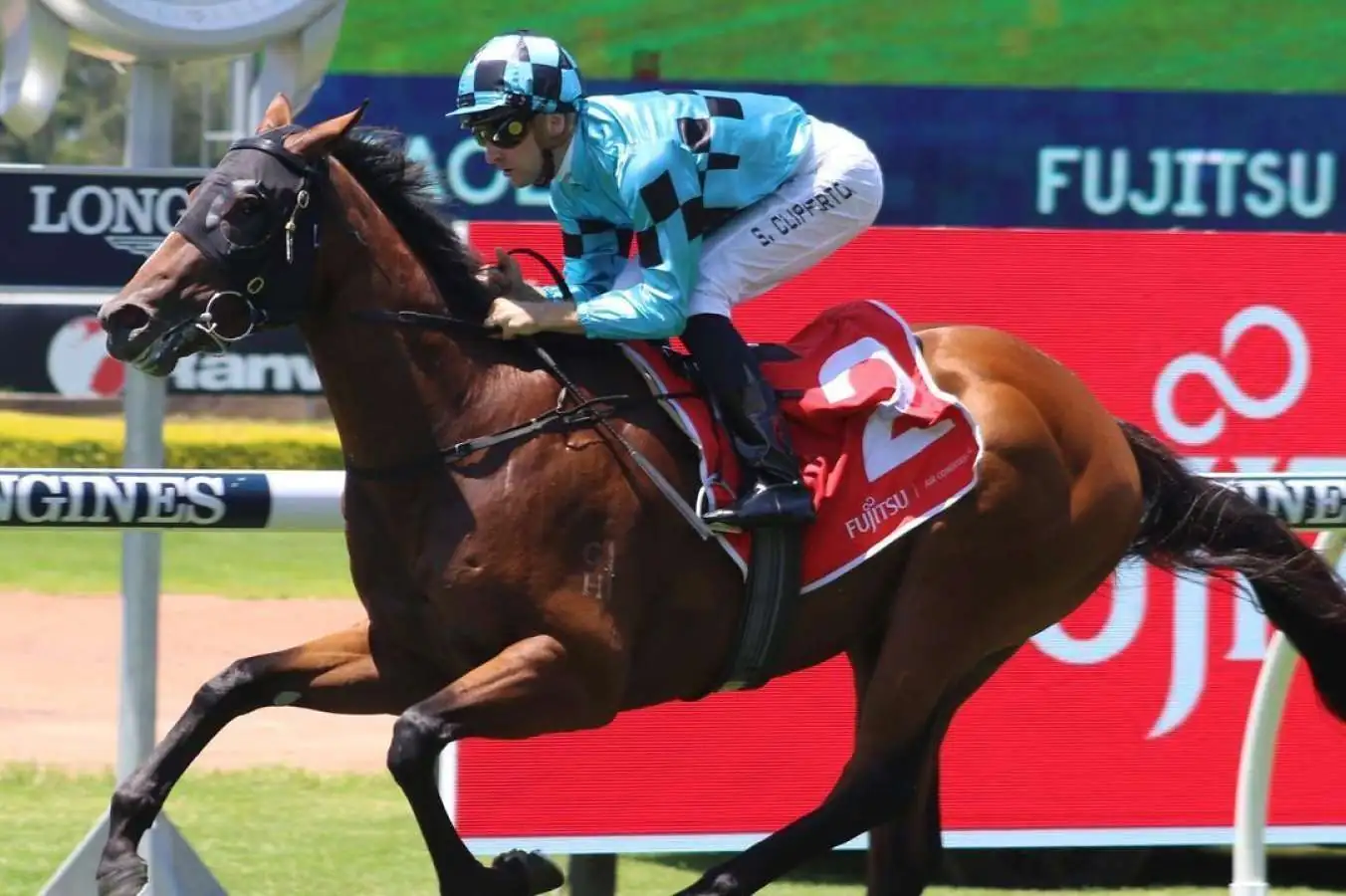 FREE: Rosehill Saturday 27th August – Our Selections Image