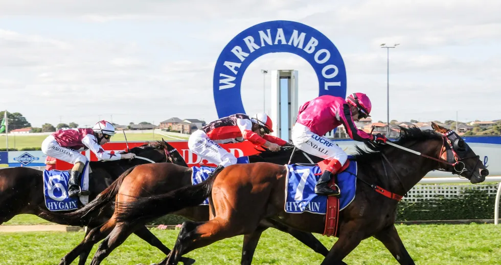 FREE: Warrnambool Tip Sheet & Staking Plan: Wednesday 4th May Image