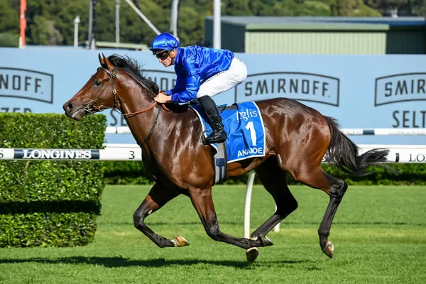 FREE: Randwick Tip Sheet & Staking Plan: Saturday 25th February Image