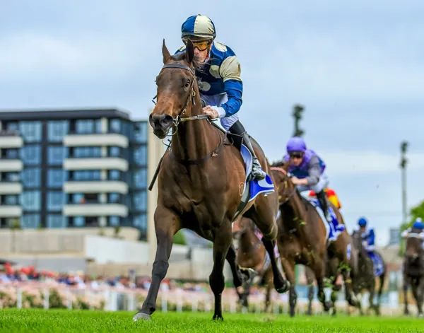 FREE: Caulfield Tip Sheet & Staking Plan: Saturday 27th April Image
