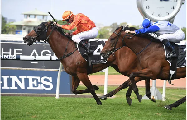 Randwick Tip Sheet & Staking Plan: Saturday 22nd August Image
