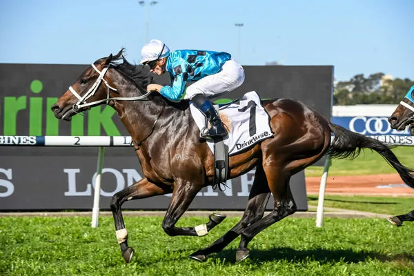 FREE: Randwick Tip Sheet & Staking Plan: Saturday 16th April Image