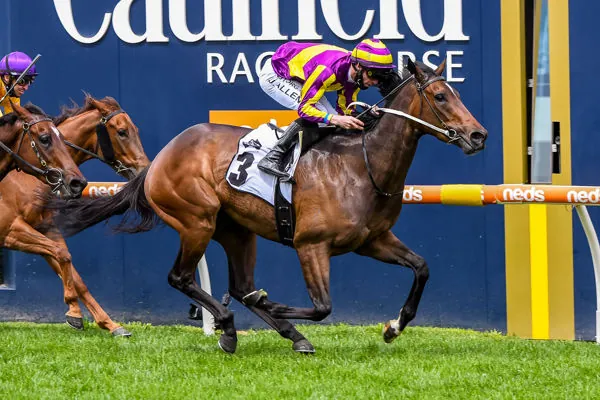 FREE: Caulfield Saturday 25th June – Our Picks Image