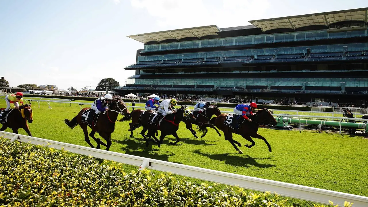 Randwick Kensington Tip Sheet & Staking Plan: Wednesday 21st July Image