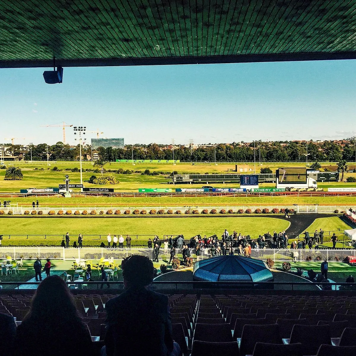 FREE: Canterbury Thursday 2nd July – Our Picks Image